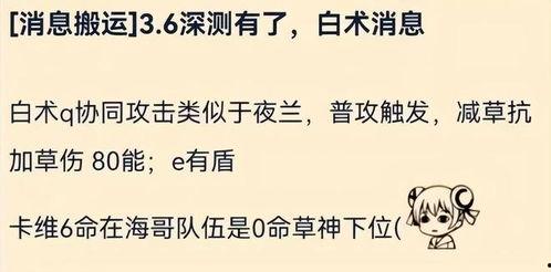 原神白术最新爆料视频,神秘术士觉醒，神秘力量即将揭晓